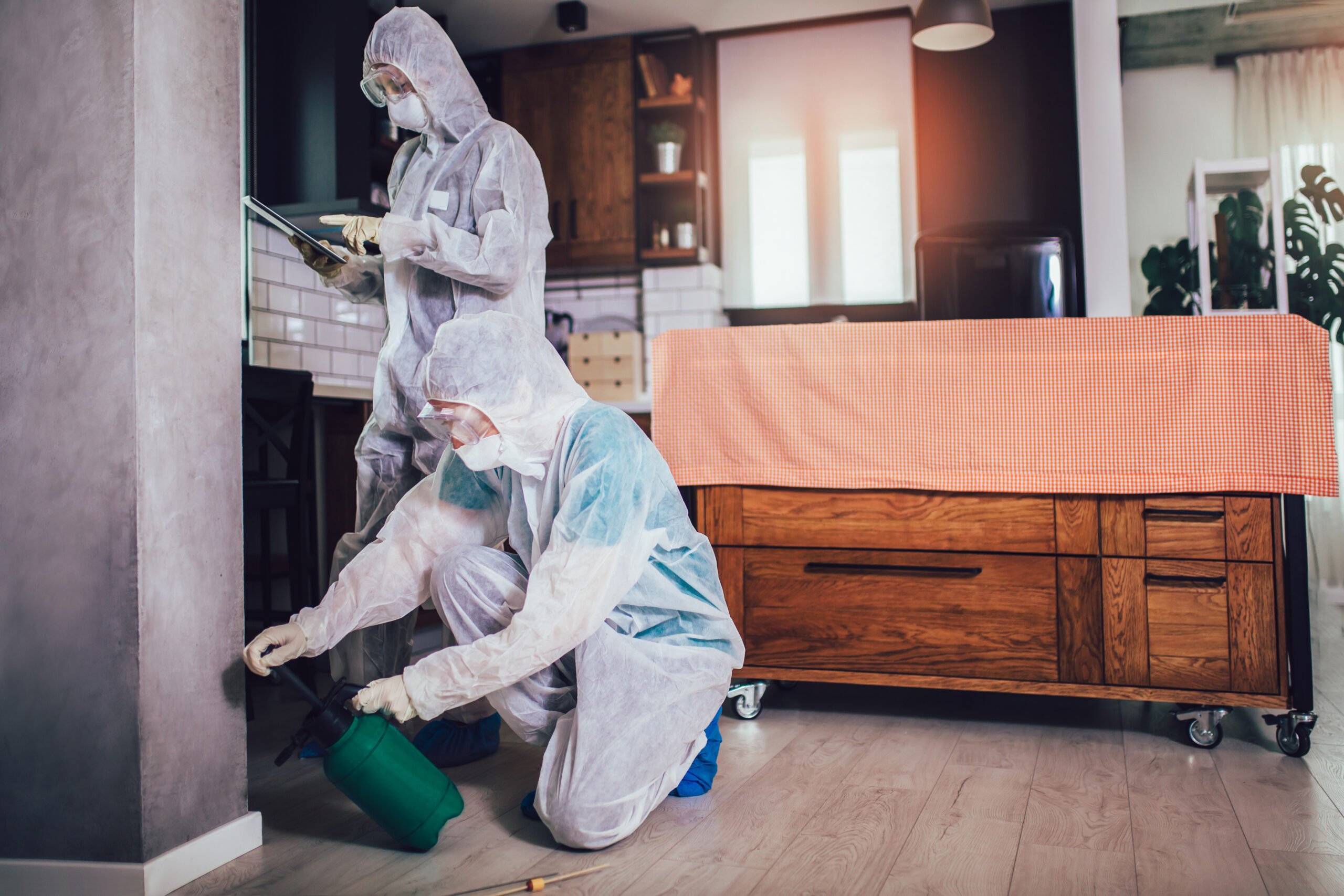 Specialists in protective suits do disinfection or pest control in the apartment.